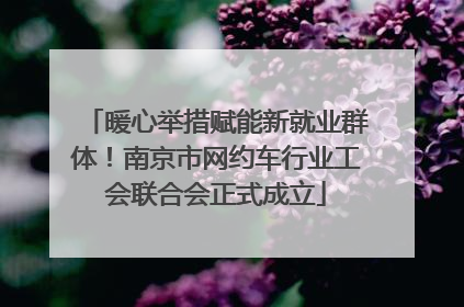 暖心举措赋能新就业群体！南京市网约车行业工会联合会正式成立