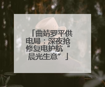 曲靖罗平供电局：深夜抢修复电护航“晨光生意”
