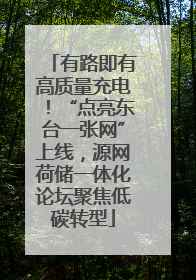 有路即有高质量充电！“点亮东台一张网”上线，源网荷储一体化论坛聚焦低碳转型