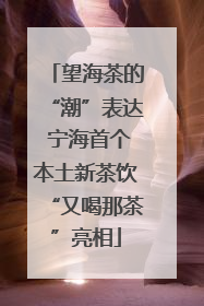 望海茶的“潮”表达 宁海首个本土新茶饮“又喝那茶”亮相