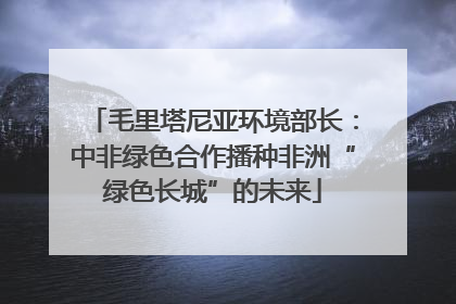 毛里塔尼亚环境部长：中非绿色合作播种非洲“绿色长城”的未来