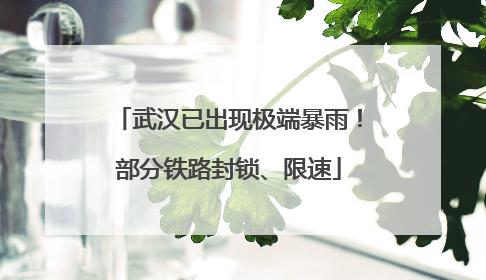武汉已出现极端暴雨！部分铁路封锁、限速