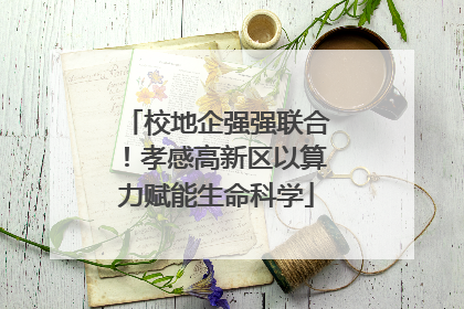 校地企强强联合！孝感高新区以算力赋能生命科学
