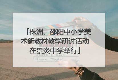株洲、邵阳中小学美术新教材教学研讨活动在景炎中学举行