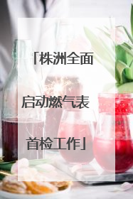 株洲全面启动燃气表首检工作
