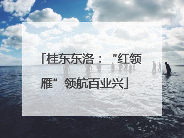 桂东东洛：“红领雁”领航百业兴