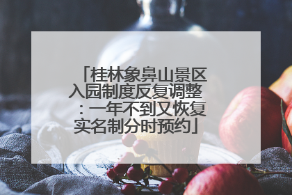 桂林象鼻山景区入园制度反复调整：一年不到又恢复实名制分时预约