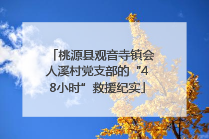 桃源县观音寺镇会人溪村党支部的“48小时”救援纪实