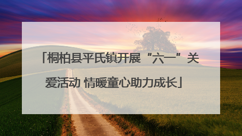 桐柏县平氏镇开展“六一”关爱活动 情暖童心助力成长
