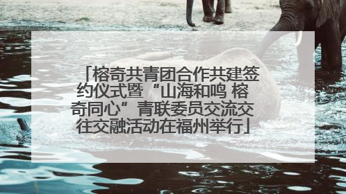 榕奇共青团合作共建签约仪式暨“山海和鸣 榕奇同心”青联委员交流交往交融活动在福州举行