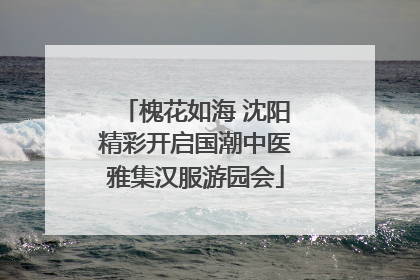 槐花如海 沈阳精彩开启国潮中医雅集汉服游园会
