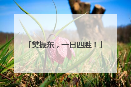 樊振东，一日四胜！