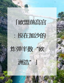欧盟前高官：投在加沙的炸弹半数“欧洲造”