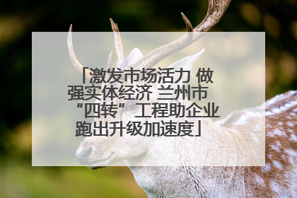 激发市场活力 做强实体经济 兰州市“四转”工程助企业跑出升级加速度