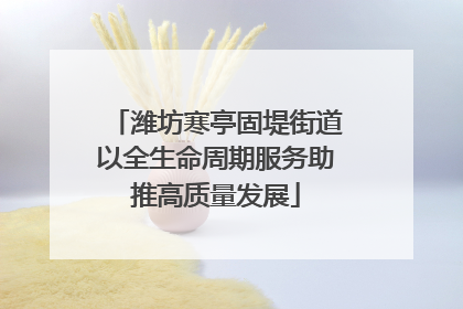 潍坊寒亭固堤街道以全生命周期服务助推高质量发展