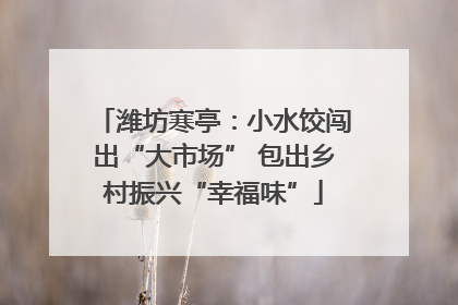 潍坊寒亭：小水饺闯出“大市场” 包出乡村振兴“幸福味”