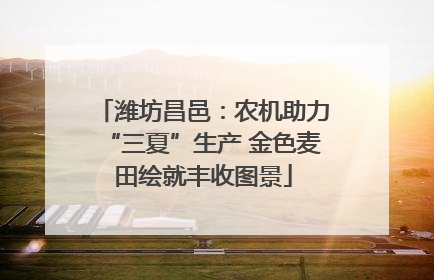 潍坊昌邑：农机助力“三夏”生产 金色麦田绘就丰收图景