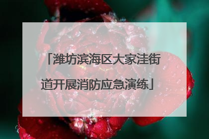 潍坊滨海区大家洼街道开展消防应急演练