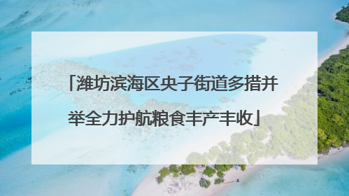 潍坊滨海区央子街道多措并举全力护航粮食丰产丰收