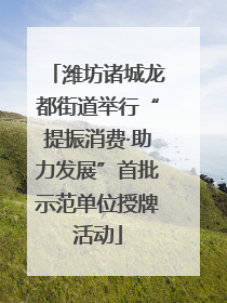 潍坊诸城龙都街道举行“提振消费·助力发展”首批示范单位授牌活动