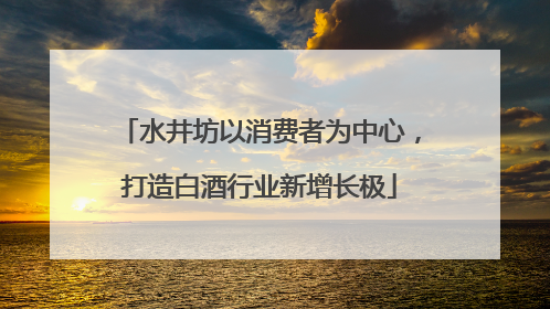 水井坊以消费者为中心，打造白酒行业新增长极