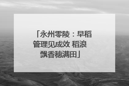 永州零陵：早稻管理见成效 稻浪飘香穗满田