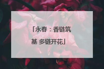 永春：香链筑基 多链开花