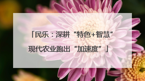 民乐：深耕“特色+智慧”现代农业跑出“加速度”