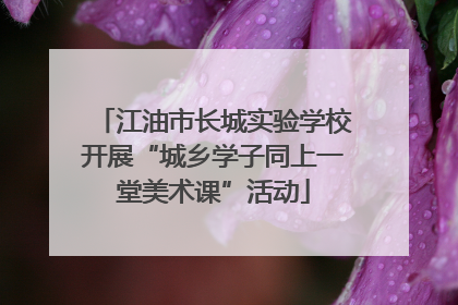 江油市长城实验学校开展“城乡学子同上一堂美术课”活动
