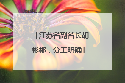 江苏省副省长胡彬郴，分工明确
