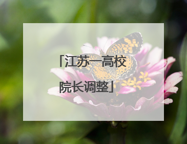 江苏一高校院长调整