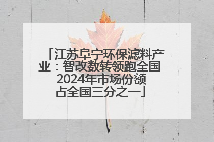 江苏阜宁环保滤料产业：智改数转领跑全国 2024年市场份额占全国三分之一