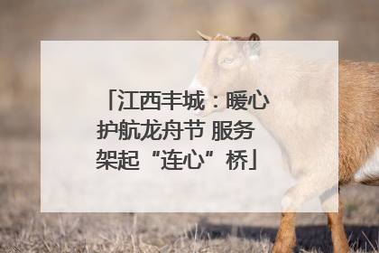江西丰城：暖心护航龙舟节 服务架起“连心”桥