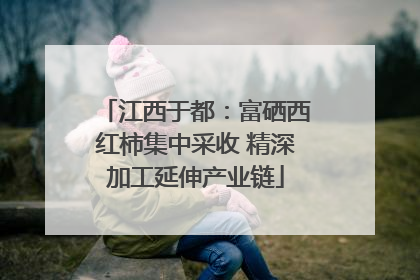 江西于都：富硒西红柿集中采收 精深加工延伸产业链