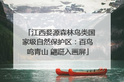 江西婺源森林鸟类国家级自然保护区：百鸟鸣青山 翩跹入画屏