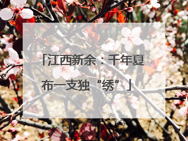 江西新余：千年夏布一支独“绣”