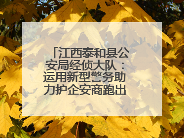 江西泰和县公安局经侦大队：运用新型警务助力护企安商跑出“加速度”