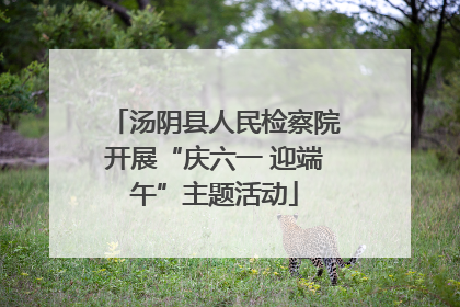 汤阴县人民检察院开展“庆六一 迎端午”主题活动