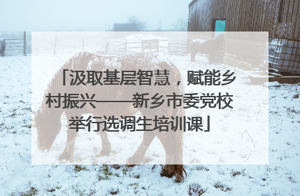 汲取基层智慧，赋能乡村振兴——新乡市委党校举行选调生培训课