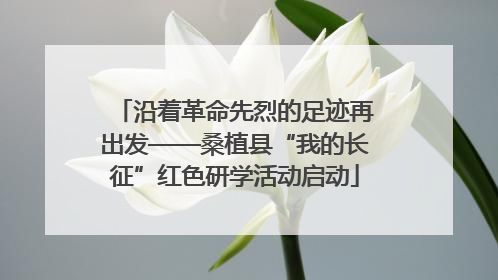 沿着革命先烈的足迹再出发——桑植县“我的长征”红色研学活动启动