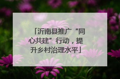 沂南县推广“同心共建”行动，提升乡村治理水平