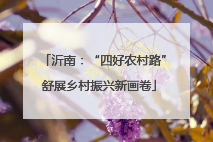 沂南：“四好农村路”舒展乡村振兴新画卷