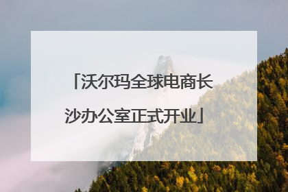 沃尔玛全球电商长沙办公室正式开业
