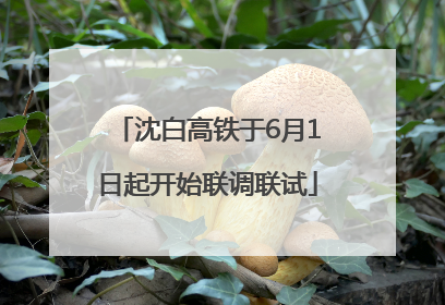 沈白高铁于6月1日起开始联调联试