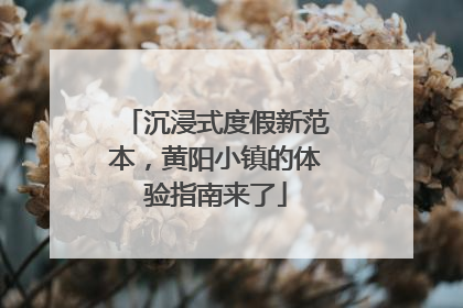 沉浸式度假新范本，黄阳小镇的体验指南来了