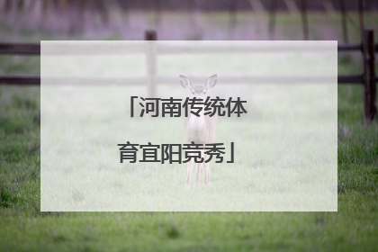 河南传统体育宜阳竞秀