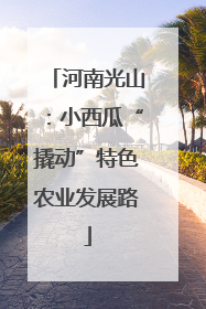 河南光山：小西瓜“撬动”特色农业发展路