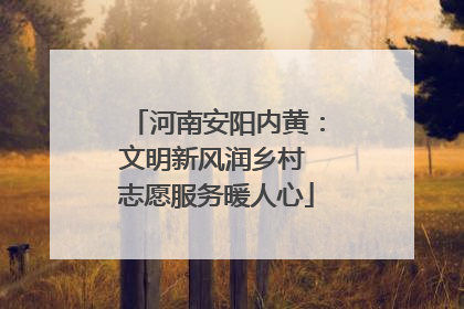 河南安阳内黄：文明新风润乡村 志愿服务暖人心