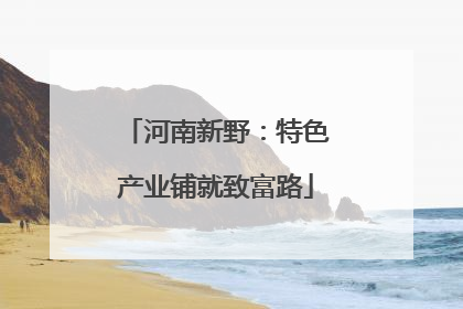 河南新野：特色产业铺就致富路