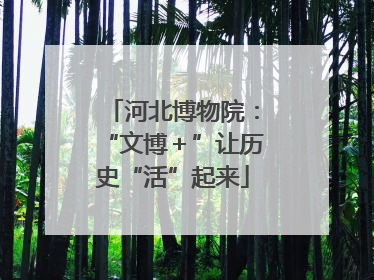 河北博物院：“文博＋”让历史“活”起来